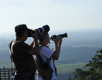 Botucatu realiza evento de observação de aves, domingo, na Pedra do Índio