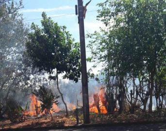 Bombeiros atendem mais de dez ocorrências de fogo em mato no domingo