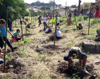 Semana do Meio Ambiente tem programação em Avaré