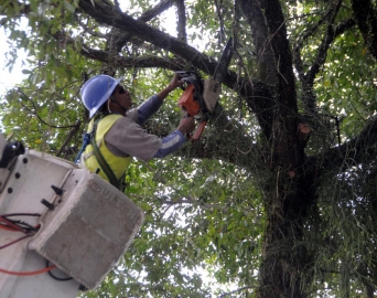 CPFL Santa Cruz faz alerta sobre riscos durante podas de árvores 