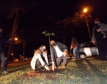 Rotary Club de Avaré inicia Projeto para plantio de mil árvores