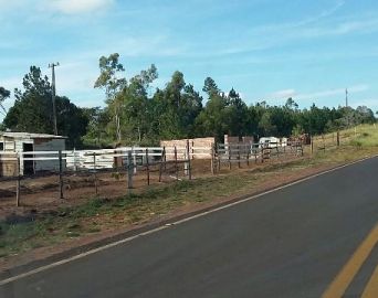 Invasão atinge acostamento da vicinal Avaré-Itatinga