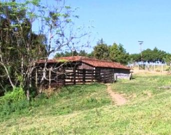 Propriedades rurais em Avaré sofrem com ações de marginais