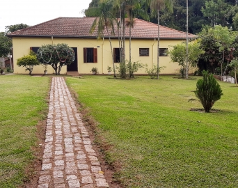 Meio Ambiente lança pesquisa sobre arborização urbana