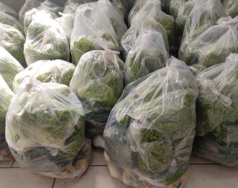 CRAS distribui cestas verdes para população vulnerável de Avaré