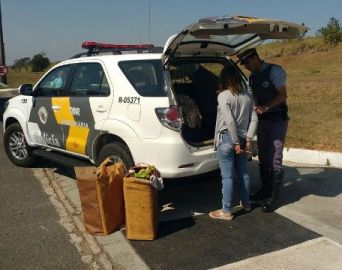 TOR prende boliviana com mais de 15 kg de cocaína pura