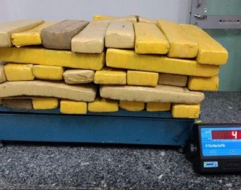 Polícia Rodoviária apreende mais de 40 quilos de maconha na Castello Branco