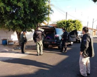 Mulher escondia droga em bicho de pelúcia
