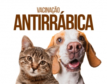 Clínica Veterinária Municipal vacina cães e gatos contra raiva na terça-feira, 13